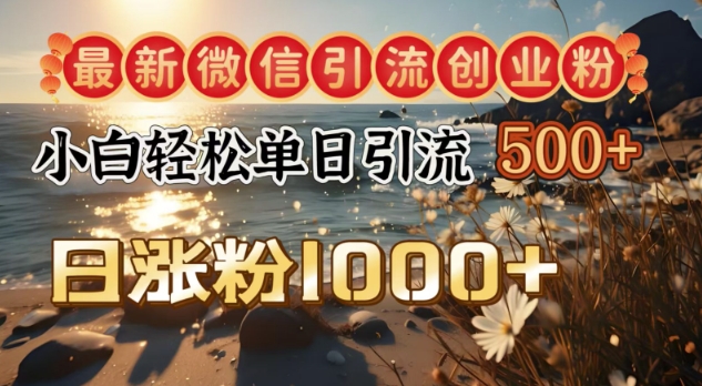 最新微信引流创业粉，小白单日轻松引流500+，日涨粉1000+-米落轻创
