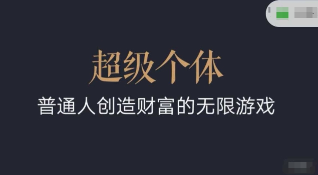 超级个体2024-2025翻盘指南，普通人创造财富的无限游戏-米落轻创