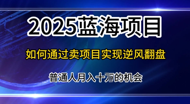 2025蓝海项目，普通人如何通过卖项目实现逆风翻盘，月入10个【揭秘】-米落轻创