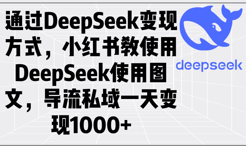 （14179期）通过DeepSeek变现方式，小红书教使用DeepSeek图文，导流私域一天变现1000+-米落轻创