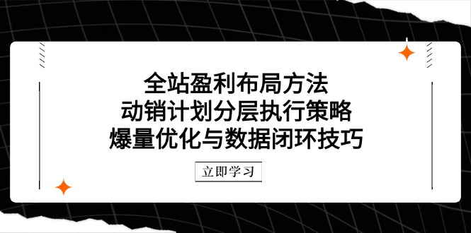 （14698期）全站盈利布局方法：动销计划分层执行策略，爆量优化与数据闭环技巧-米落轻创
