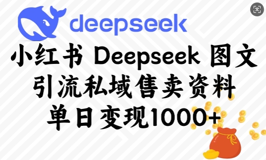 小红书Deepseek图文引流私域售卖资料，单日变现多张-米落轻创