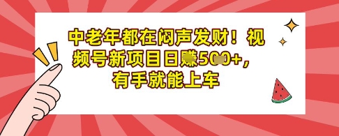 中老年都在闷声发财，视频号新项目日入多张，有手就能上车-米落轻创