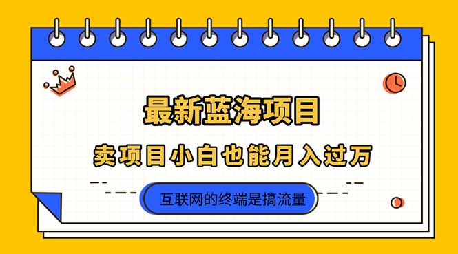 （14289期）2025年最新蓝海项目，卖项目小白也能月入过万-米落轻创