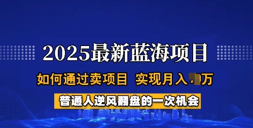 2025蓝海项目，普通人如何通过卖项目，实现月入过W，全过程【揭秘】-米落轻创