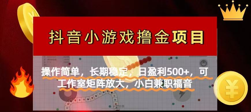 （14290期）【抖音小游戏发行人计划项目】操作简单，长期稳定，日盈利500+，可工作…-米落轻创