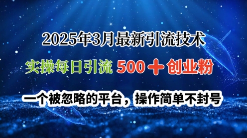 2025年3月最新引流技术，实操每日引流500+创业粉，一个被忽略的平台，操作简单不封号-米落轻创