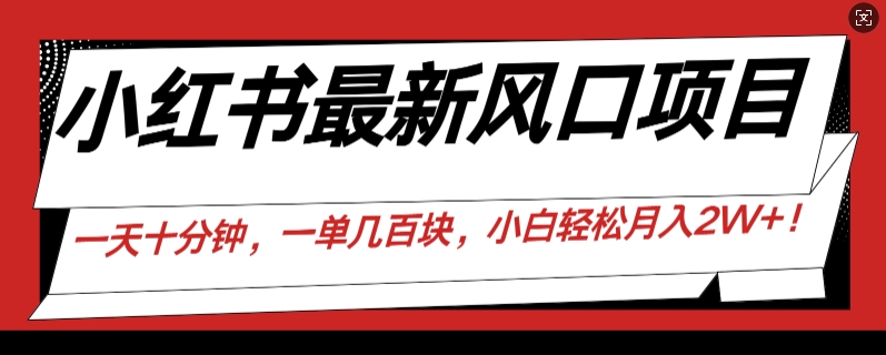 小红书最新风口项目，一天只用10分钟，一单几百块，小白简单无脑操作!-米落轻创