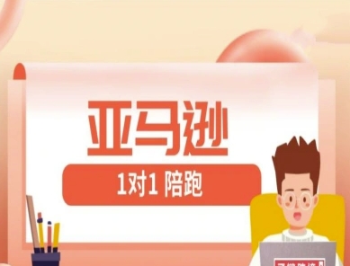亚马逊1对1陪跑课(FBA/FBM精铺)跨境亚马逊教程-米落轻创