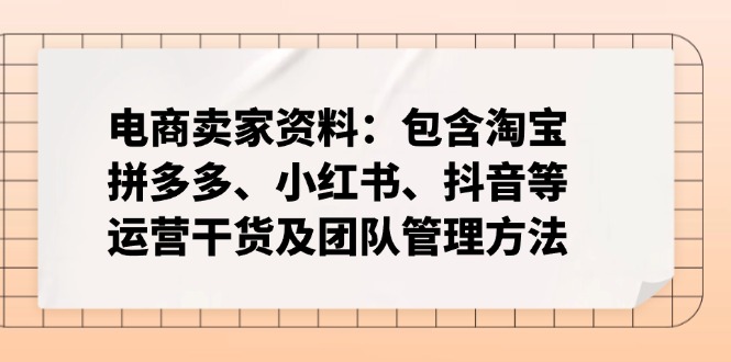 （14354期）电商卖家资料：包含淘宝、拼多多、小红书、抖音等运营干货及团队管理方法-米落轻创