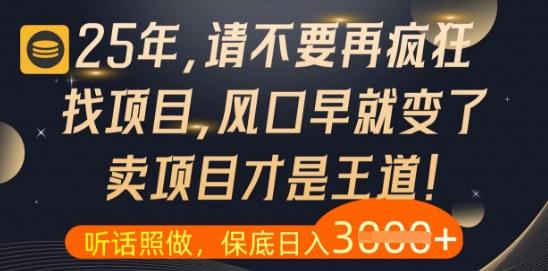 什么？25年你还在疯狂找项目做，醒醒吧，看完这些你全都懂了【揭秘】-米落轻创