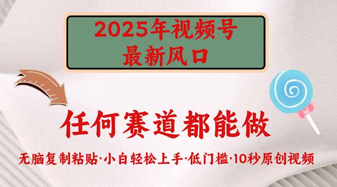 （14453期）2025年视频号新风口，低门槛只需要无脑执行-米落轻创