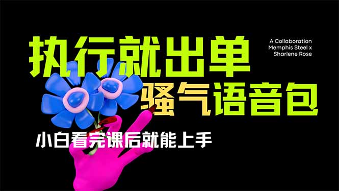 （14170期）爆火全网的开车导航骚气语音包,只要执行就出单，小白看完课程就能实操…-米落轻创