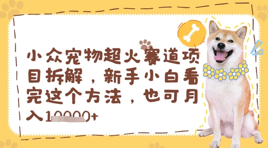 小众宠物超火赛道项目拆解，新手小白看完这个方法，也可月入过w-米落轻创