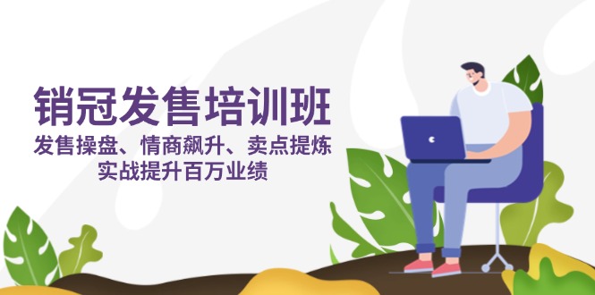 （14203期）销冠 发售培训班：发售 操盘+情商 飙升+卖点 提炼，实战提升百万业绩-米落轻创
