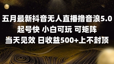 2025五月最新无人直播撸音浪单日产出5张+实操教程【揭秘】-米落轻创