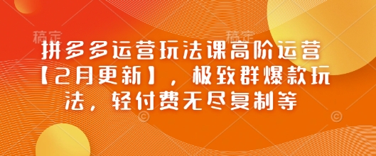 拼多多运营玩法课高阶运营【2月更新】，极致群爆款玩法，轻付费无尽复制等-米落轻创
