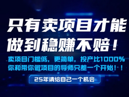 只有卖项目才能做到稳挣不赔，门槛低，更简单，你也可以年入百个W【揭秘】-米落轻创