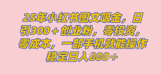 2025年小红书创业粉图文自热教程，日+300创业粉，单日变现多张，无脑操作，宝妈，小白抓紧冲-米落轻创