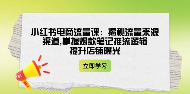 （14318期）小红书电商流量课：揭秘流量来源渠道,掌握爆款笔记推流逻辑,提升店铺曝光-米落轻创