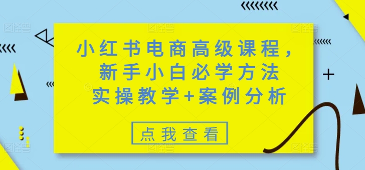 小红书电商高级课程，新手小白必学方法，实操教学+案例分析-米落轻创
