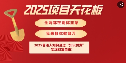 2025项目天花板普通人如何通过知识付费，实现财F自由【揭秘】-米落轻创
