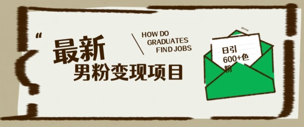 最新男粉变现项目，日引100+S粉，流量爆炸，小白轻松上手-米落轻创