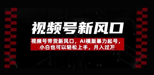 视频号带货新风口，AI模版暴力起号，小白也可以轻松上手，月入过W-米落轻创