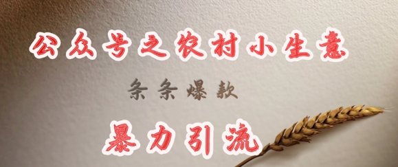 deepseek写农村小项目，条条爆款，暴力引流-米落轻创