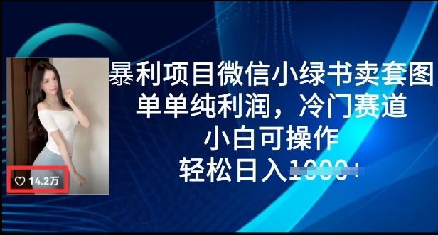 暴利项目微信小绿书卖套图，单单纯利润，冷门赛道， 小白可操作，轻松日入多张-米落轻创
