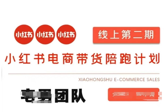 小红书电商带货课2期，月利润20个的小红书电商的有货源，无货源，虚拟产品，付费投流等整套玩法-米落轻创