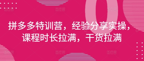 拼多多特训营，经验分享实操，课程时长拉满，干货拉满(更新25年4月)-米落轻创