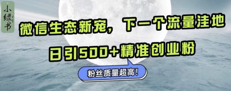 微信生态新宠小绿书：下一个流量洼地，日引500+精准创业粉，粉丝质量超高-米落轻创