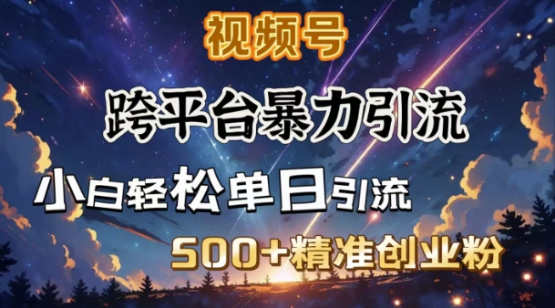 跨平台暴力引流，私域完美闭环，日引500+精准创业粉-米落轻创
