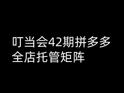 叮当会拼多多打爆班原创高阶技术第42期，拼多多全店托管矩阵-米落轻创