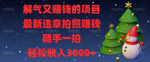 解气又挣钱的项目，最新违章拍照挣钱，随手一拍，轻松收入数张【揭秘】-米落轻创
