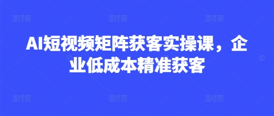 AI短视频矩阵获客实操课，企业低成本精准获客-米落轻创