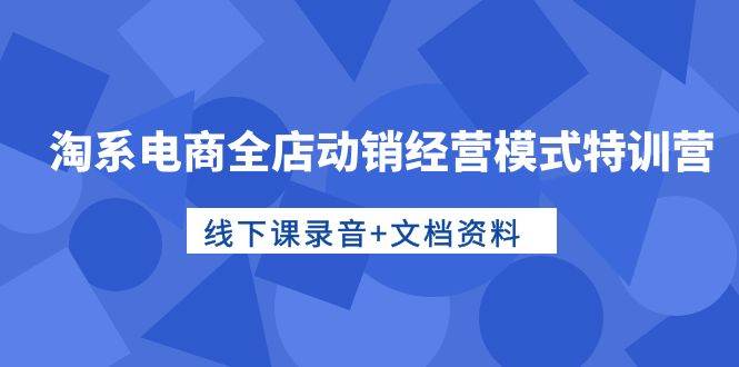 淘系电商全店动销经营模式特训营，线下课录音+文档资料-米落轻创