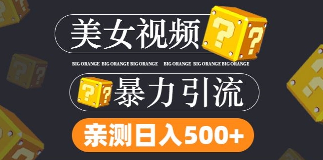 搬运tk美女视频全网分发，日引s粉300+，轻松变现，不限流量不封号【揭秘】-米落轻创