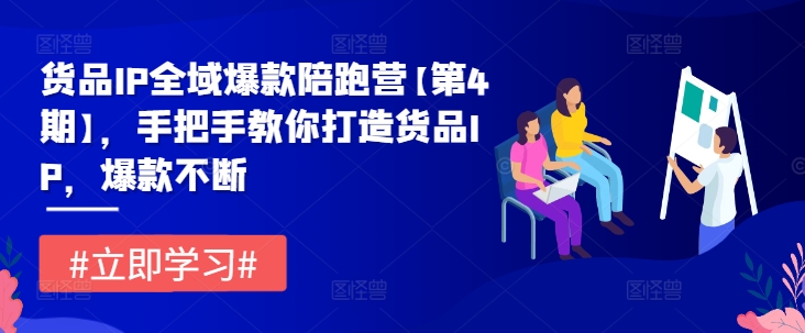 货品IP全域爆款陪跑营【第4期】，手把手教你打造货品IP，爆款不断-米落轻创