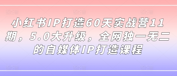 小红书IP打造60天实战营11期，5.0大升级，全网独一无二的自媒体IP打造课程-米落轻创