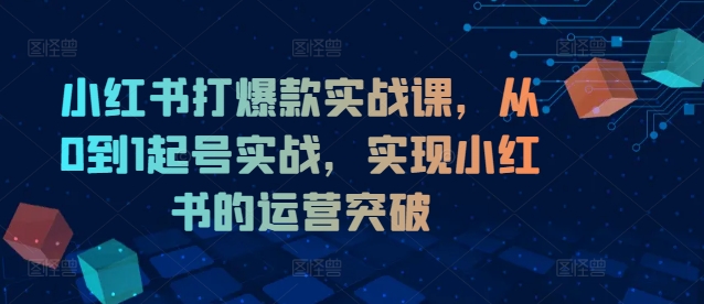 小红书打爆款实战课，从0到1起号实战，实现小红书的运营突破-米落轻创