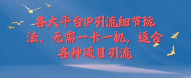 各大平台IP引流细节玩法，无需一卡一机，适合各种项目引流-米落轻创