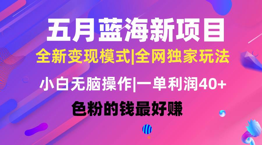 五月蓝海项目全新玩法，小白无脑操作，一天几分钟，矩阵操作，月入4万+-米落轻创