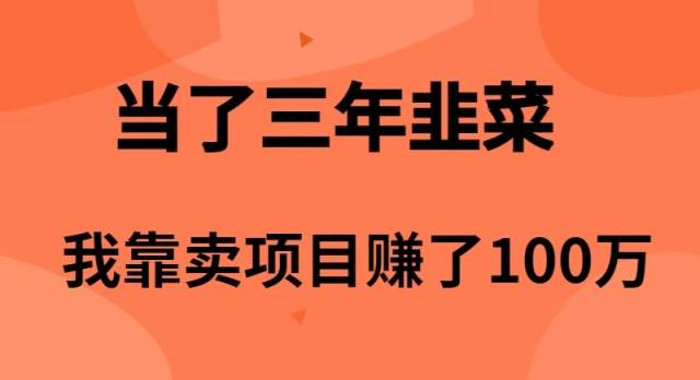 当了3年韭菜，我靠卖项目赚了100万-米落轻创