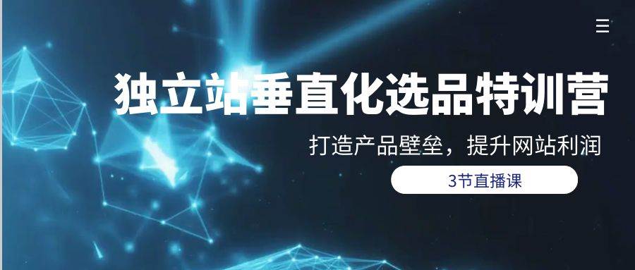 独立站-垂直化选品训练营，打造产品壁垒，提升网站利润（3节直播课）-米落轻创