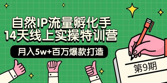自然IP流量孵化手 14天线上实操特训营【第9期】月入5w+百万爆款打造 (74节)-米落轻创