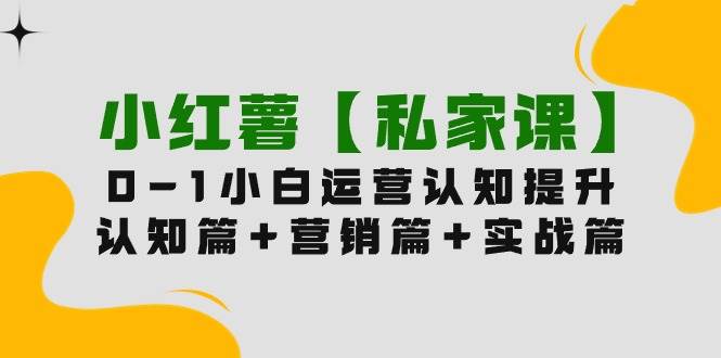 小红薯【私家课】0-1玩赚小红书内容营销，认知篇+营销篇+实战篇（11节课）-米落轻创