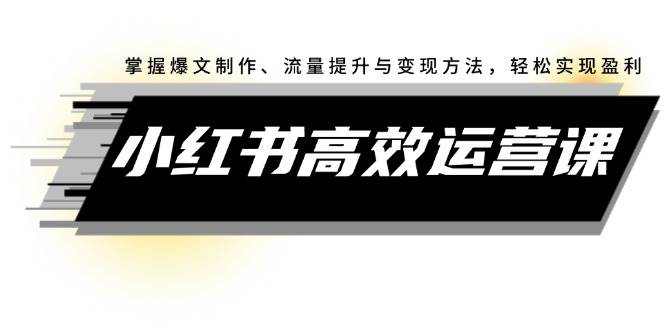 小红书高效运营课：掌握爆文制作、流量提升与变现方法，轻松实现盈利-米落轻创
