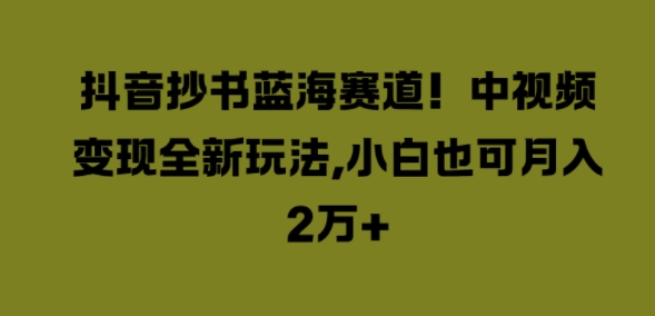 抖音抄书蓝海赛道，中视频变现全新玩法，小白也可月入2W+-米落轻创